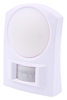 Light with Motion Detector BL 100