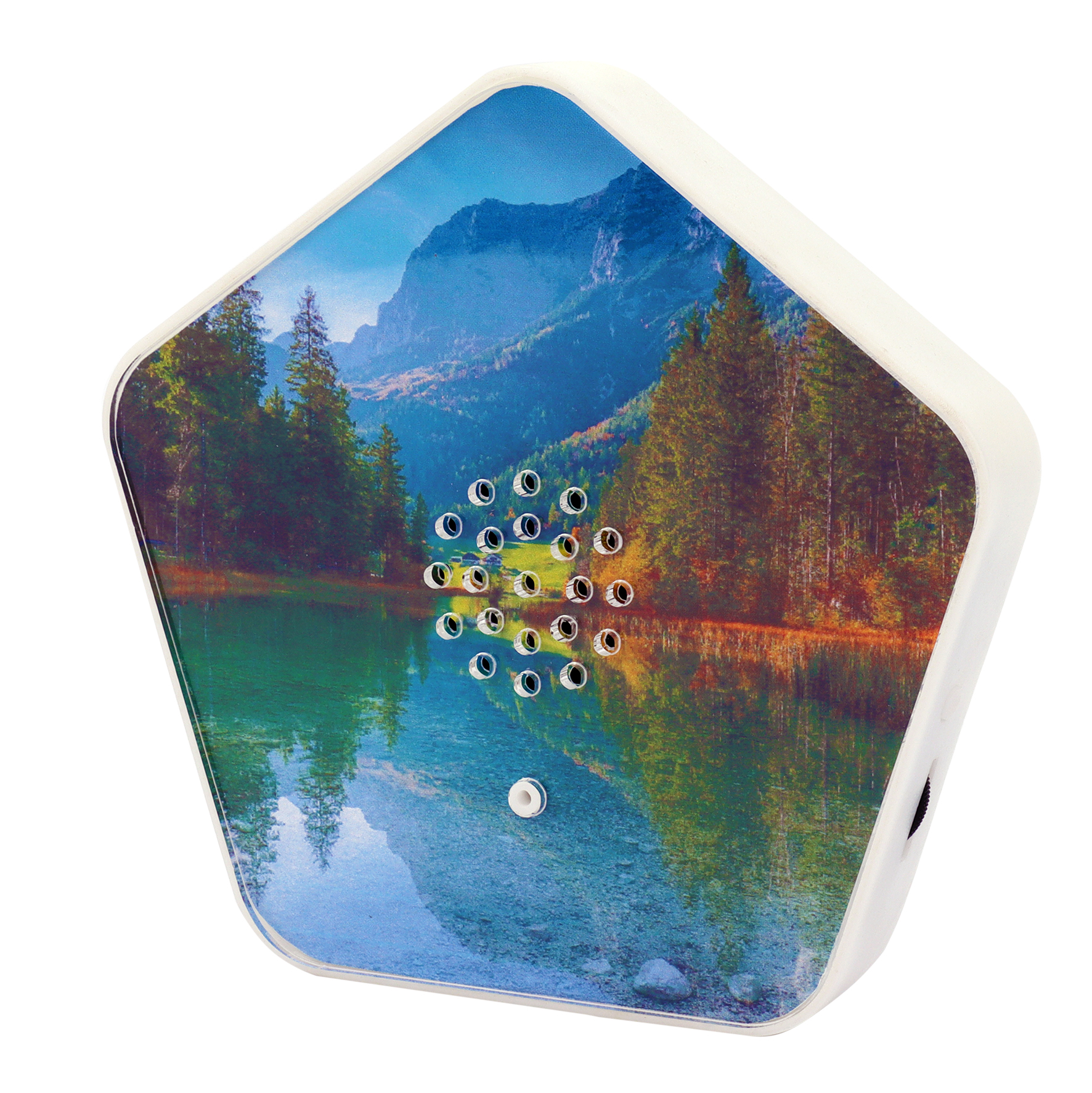 Sounds of Nature Box