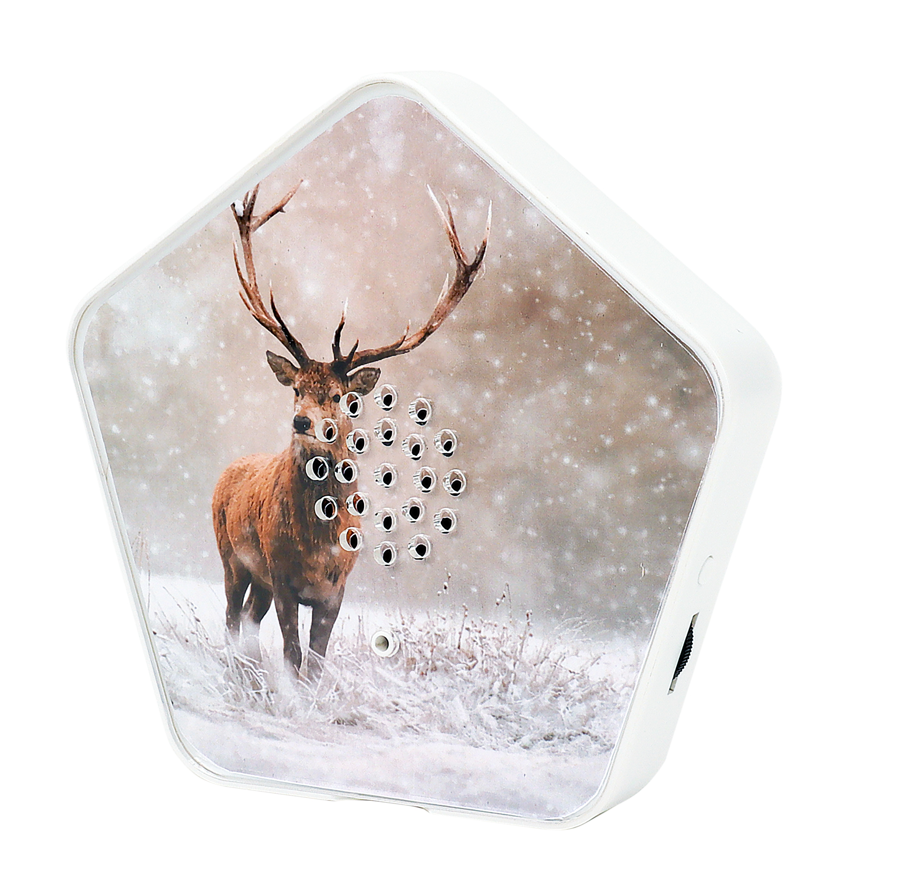 Sounds of Nature Box Xmas Edition